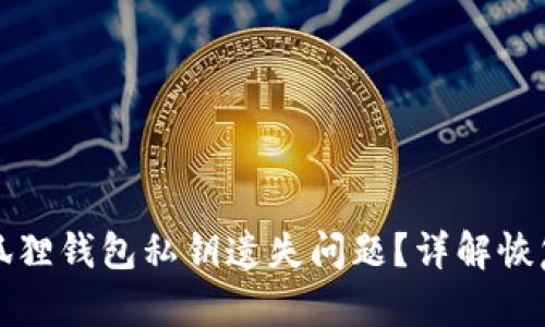 如何处理小狐狸钱包私钥遗失问题？详解恢复与安全管理