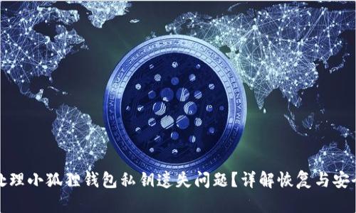 如何处理小狐狸钱包私钥遗失问题？详解恢复与安全管理
