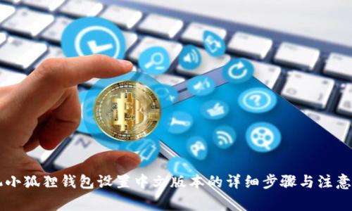 手机小狐狸钱包设置中文版本的详细步骤与注意事项