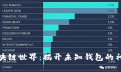 探索区块链世界：揭开未