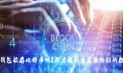 小狐狸钱包能存比特币吗