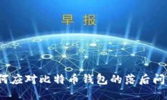 如何应对比特币钱包的落