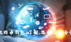 完整比特币钱包：了解、