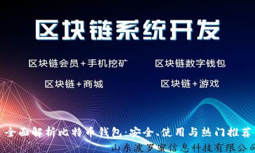 全面解析比特币钱包：安全、使用与热门推荐
