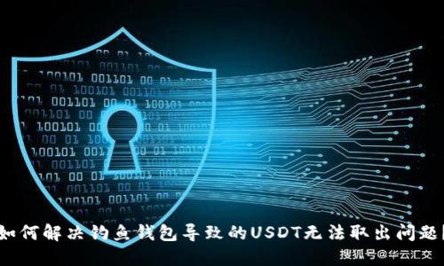 如何解决钓鱼钱包导致的USDT无法取出问题？