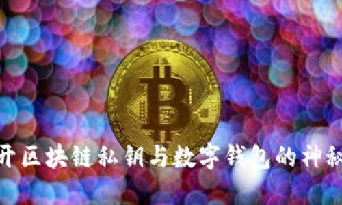 : 揭开区块链私钥与数字钱包的神秘面纱