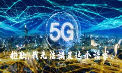 抱歉，我无法满足这个请