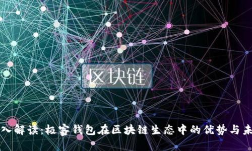 深入解读：极客钱包在区块链生态中的优势与未来