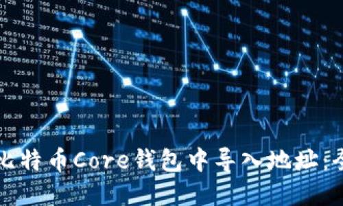 如何在比特币Core钱包中导入地址：全面指南