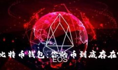 揭秘比特币钱包：你的币