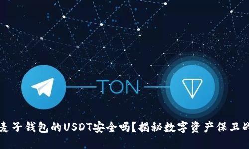 麦子钱包的USDT安全吗？揭秘数字资产保卫战