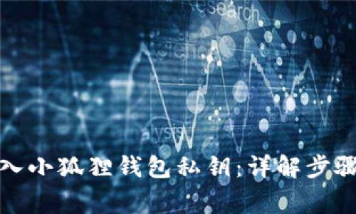 如何正确导入小狐狸钱包私钥：详解步骤与注意事项
