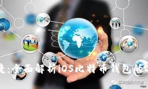 安全又便捷：全面解析iOS比特币钱包的选择与使用