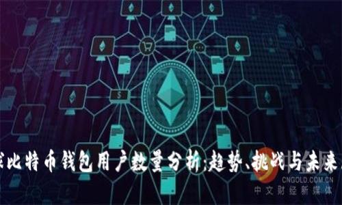 全球比特币钱包用户数量分析：趋势、挑战与未来展望