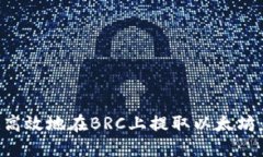 如何安全高效地在BRC上提