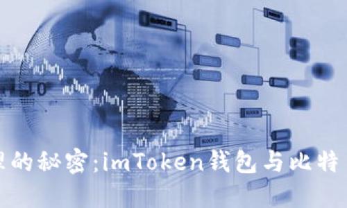 揭开数字资产管理的秘密：imToken钱包与比特币钱包的全面对比