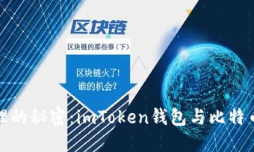 揭开数字资产管理的秘密：imToken钱包与比特币钱包的全面对比