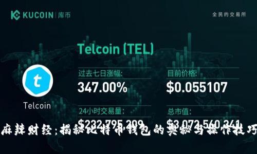 麻辣财经：揭秘比特币钱包的奥秘与操作技巧