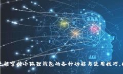  小狐狸钱包全面攻略：如