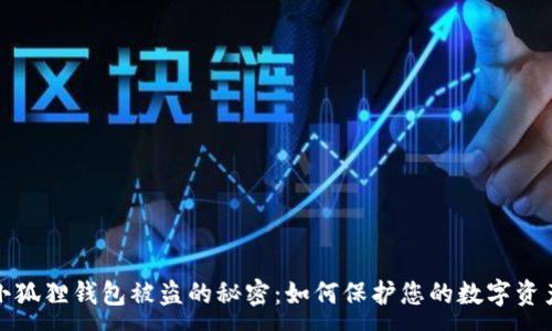 :
揭开小狐狸钱包被盗的秘密：如何保护您的数字资产安全
