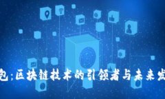 数字钱包：区块链技术的