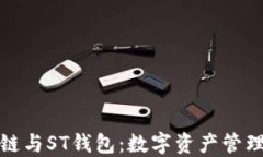 探索区块链与ST钱包：数字