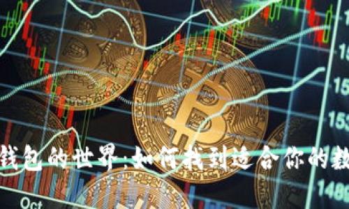 探索区块链钱包的世界：如何找到适合你的数字货币钱包