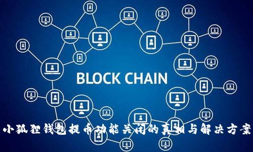 小狐狸钱包提币功能关闭的真相与解决方案