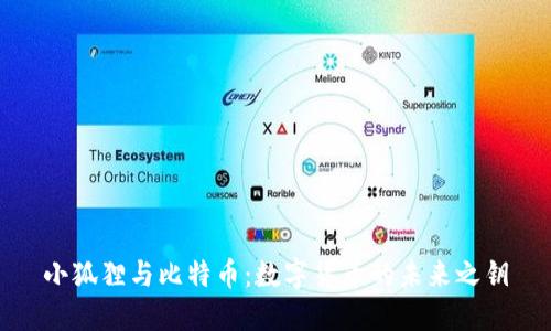 小狐狸与比特币：数字货币的未来之钥