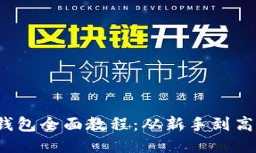  区块链对接钱包全面教程：从新手到高手的终极指南