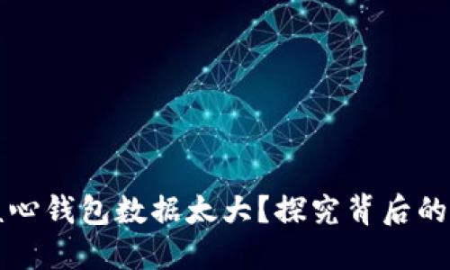 为什么比特币核心钱包数据太大？探究背后的原因与解决方案
