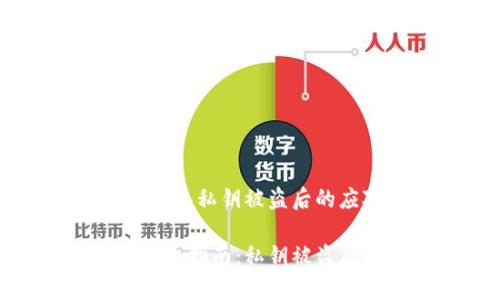 警惕！小狐狸钱包私钥被盗后的应对策略

小狐狸钱包安全指南：私钥被盗后的应急措施