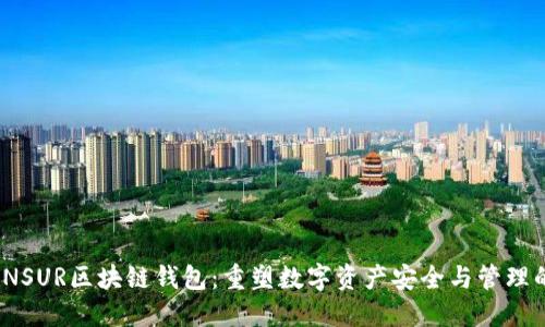 探索INSUR区块链钱包：重塑数字资产安全与管理的未来