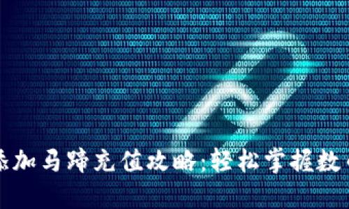 小狐狸钱包添加马蹄充值攻略：轻松掌握数币交易新方式