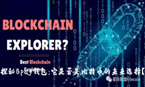 探秘Bpay钱包：它是否是比特币的未来选择？