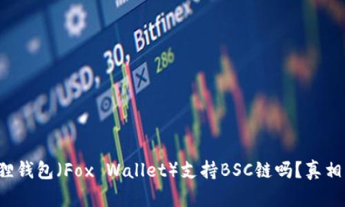 小狐狸钱包（Fox Wallet）支持BSC链吗？真相揭秘！