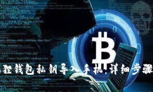 如何将小狐狸钱包私钥导入手机：详细步骤与注意事项