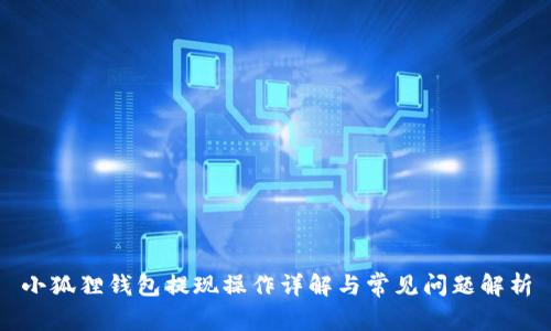 小狐狸钱包提现操作详解与常见问题解析