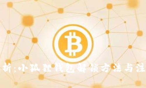 全面解析：小狐狸钱包解锁方法与注意事项