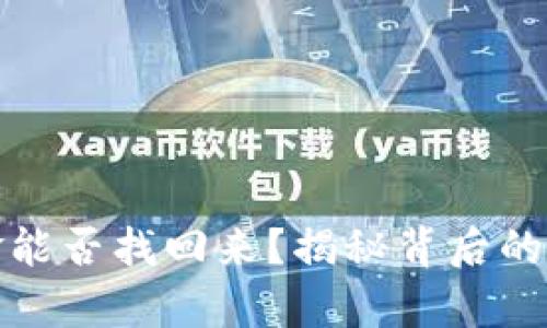 小狐狸钱包资金能否找回来？揭秘背后的真相与解决方案