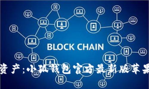 轻松管理资产：小狐钱包官方最新版苹果下载指南