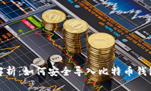全面解析：如何安全导入比特币钱包私钥