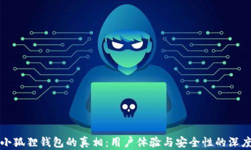 
揭开小狐狸钱包的真相：用户体验与安全性的深度分析