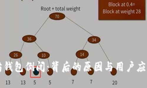以太坊钱包倒闭：背后的原因与用户应对指南