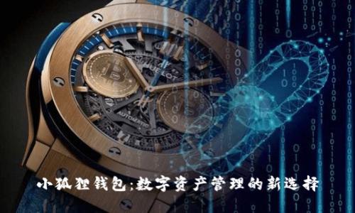 小狐狸钱包：数字资产管理的新选择