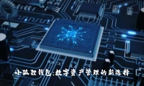 小狐狸钱包：数字资产管理的新选择