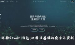 选择Gemini钱包：比特币存