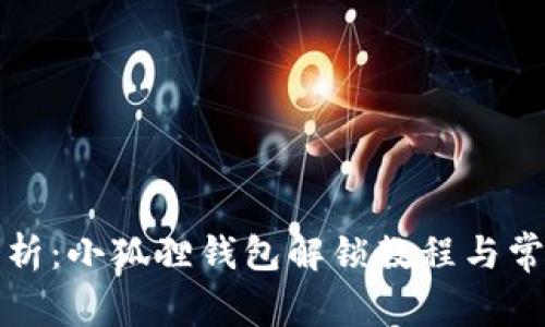 全面解析：小狐狸钱包解锁教程与常见问题