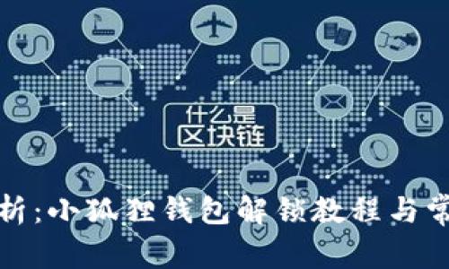 全面解析：小狐狸钱包解锁教程与常见问题