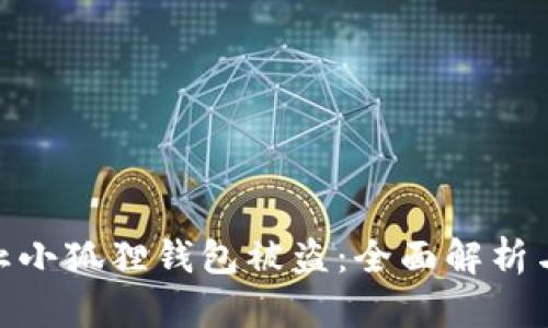 : 如何防止小狐狸钱包被盗：全面解析与实用建议